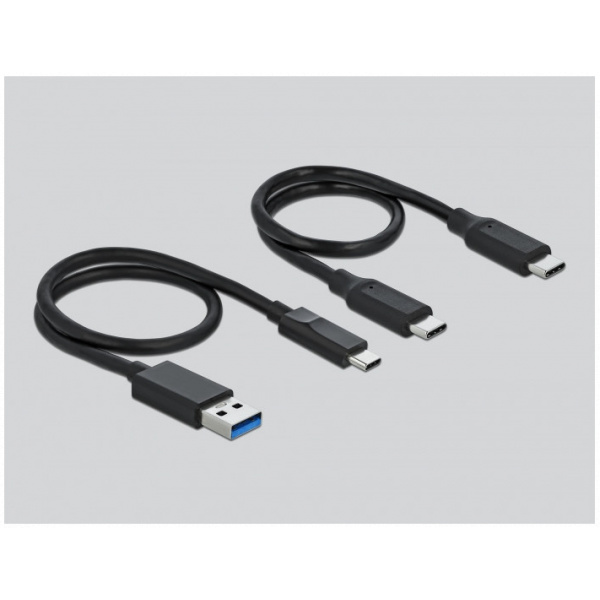 Delock M.2 dokkoló állomás M.2 NVMe PCIe SSD-hez (USB Type-C) #3