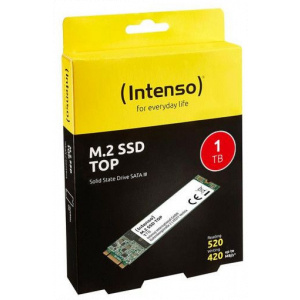 1TB Intenso Top Performance SSD - M.2 (SATA) - 6GB/s #2