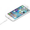 Apple Lightning – USB átalakító kábel - 0,5m #4