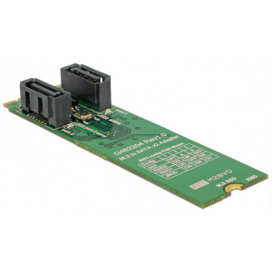 Delock adapter M.2 aljzat (B+M) > 2x SATA 7-tűs csatlakozó, RAID funkcióval #2