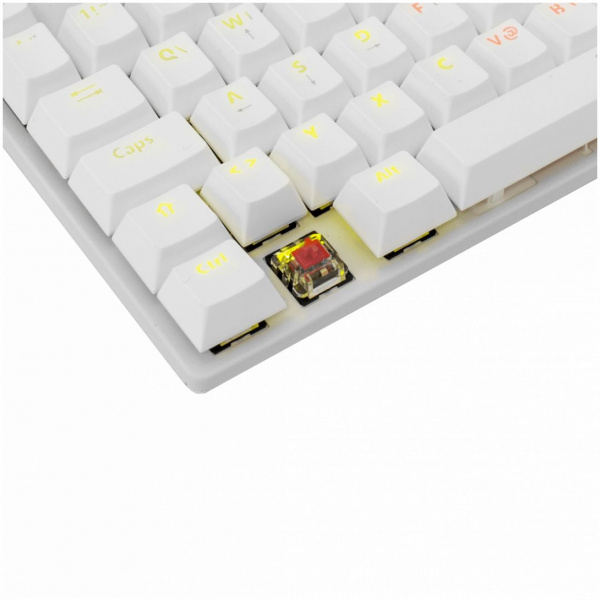White Shark COMMANDOS mechanikus billentyűzet (brown switch) - fehér #4
