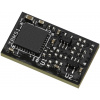 ASRock TPM Modul #2