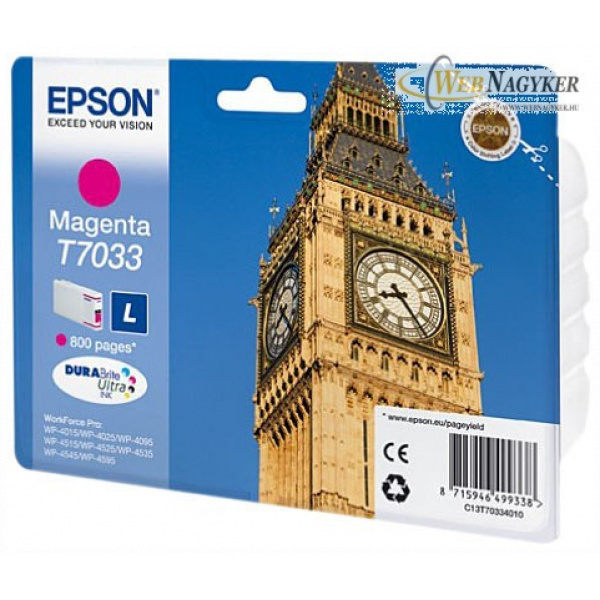 Epson T7033 patron #1