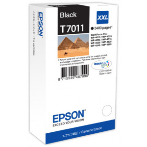 Epson T7011 patron #1