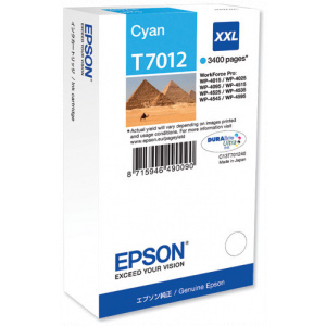 Epson T7012 patron #1