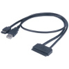 Akasa eSATA-SATA kábel USB tápellátással SATA HDD/SSD-hez 40cm #1