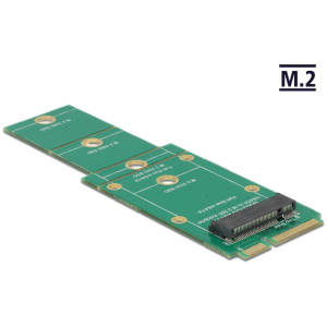 Delock mSATA > M.2 NGFF adapter #1