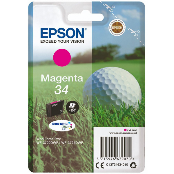 Epson T3463 patron (34) #1