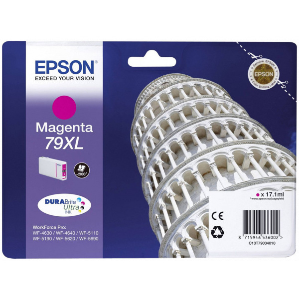 Epson T7903 patron (79XL) #1