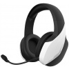 Zalman ZM-HPS700W Wireless Heaset (fekete/fehér) #1