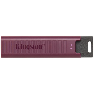 1TB Kingston USB 3.2 DataTraveler MAX (Type A) Pendrive #1