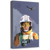 2TB Seagate Luke Skywalker™ Special Edition FireCuda külső USB3.0 HDD #1