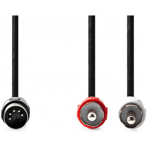 Nedis 5-pin DIN (M) összekötő kábel / 2x RCA 1m #1