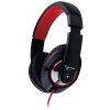 Gembird MHS-BOS (Boston) headset #1