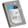 10TB Seagate SkyHawk™ AI SATA3 HDD 256MB - ST10000VE001 NEW #1