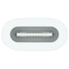 Apple Pencil USB-C adapter #2