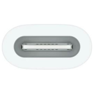 Apple Pencil USB-C adapter #2