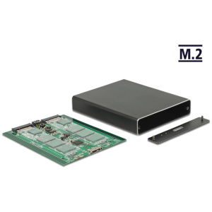 Delock Külső ház, 2x SATA M.2 SSD > USB 10 Gbps (USB 3.1) RAID-del #1