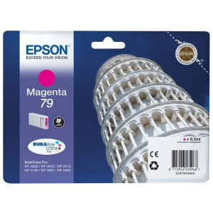Epson T7913 patron (79) #1